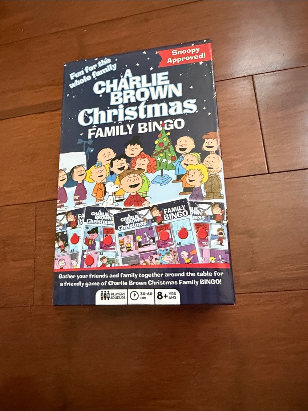 Peanuts A Charlie Brown Christmas Family Bingo Game Night Friend Fun 2-8 Players